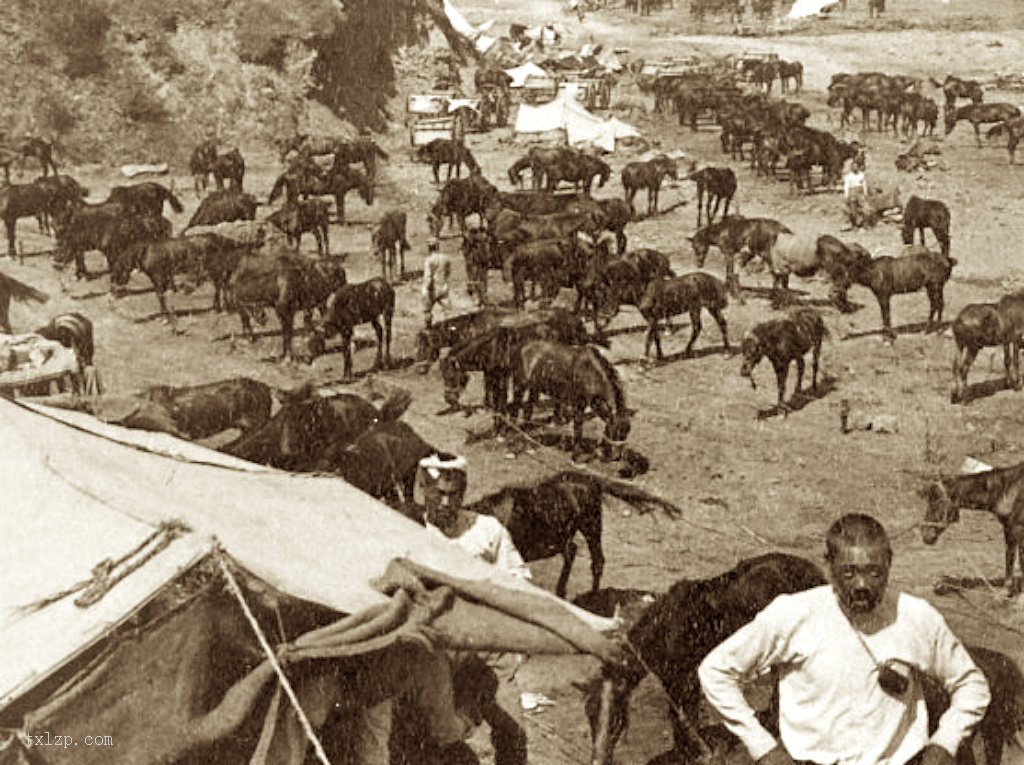 图片[4]-Old photos of Lushunkou, Liaoning, 1904-1905-China Archive