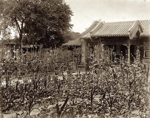 图片[4]-Old photos taken in 1888 at the Chunqin Mansion-China Archive