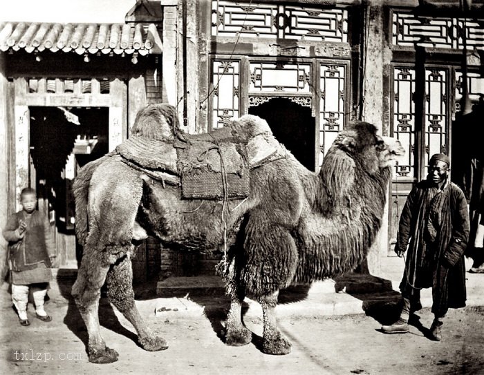 图片[8]-Old photos of Beijing in 1879-China Archive