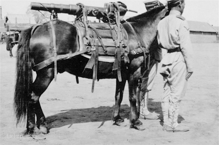 图片[5]-Photos of Japanese Army Occupying Lushun during the Russo Japanese War in 1904-China Archive