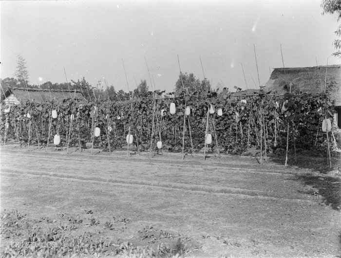 图片[5]-Old photos of Chengdu taken by Wilson in 1908-China Archive