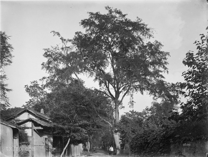 图片[12]-Old photos of Chengdu taken by Wilson in 1908-China Archive