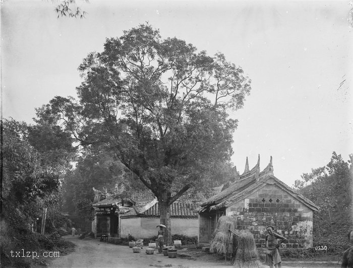 图片[11]-Old photos of Chengdu taken by Wilson in 1908-China Archive