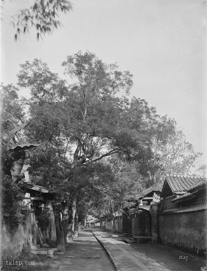 图片[19]-Old photos of Chengdu taken by Wilson in 1908-China Archive