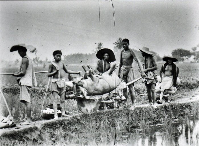图片[4]-1911 Weisi’s Journey to Chengdu in Southwest China-China Archive