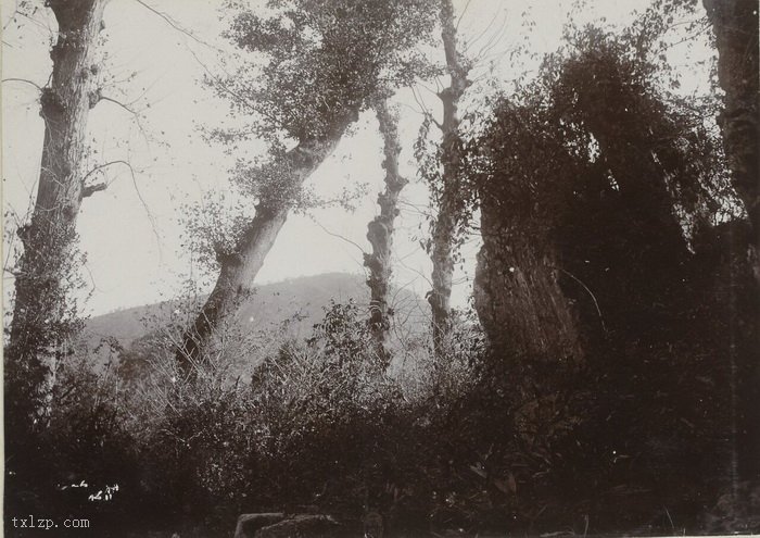 图片[24]-Old photos of the beautiful scenery of Hangzhou West Lake in 1911 (Part 1)-China Archive