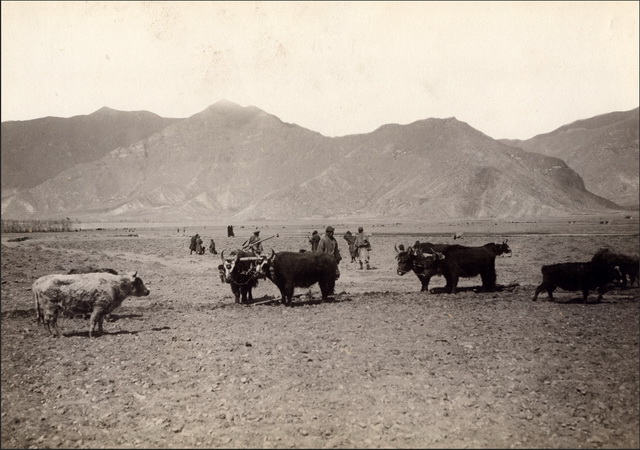 图片[8]-The first photo of Tibet in the old photo of Lhasa, Tibet in 1901-China Archive