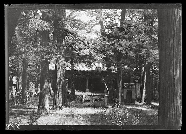 图片[7]-The old photo of Zou County, Shandong Province in 1907: the scene of Meng Temple a hundred years ago-China Archive