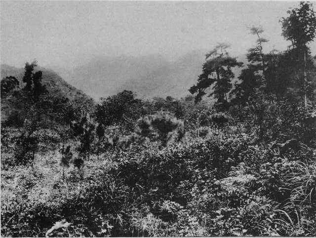 图片[9]-The old photo of Shaoxing, Zhejiang in 1906 The style and features of the Lanting at Dayu Mausoleum a hundred years ago-China Archive