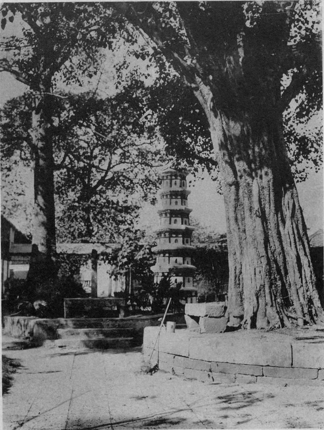 图片[16]-A view of Guangxiao Temple a hundred years ago in the old photo of Guangzhou in 1910-China Archive