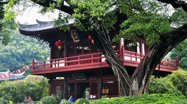 图片[23]-A view of Guangxiao Temple a hundred years ago in the old photo of Guangzhou in 1910-China Archive