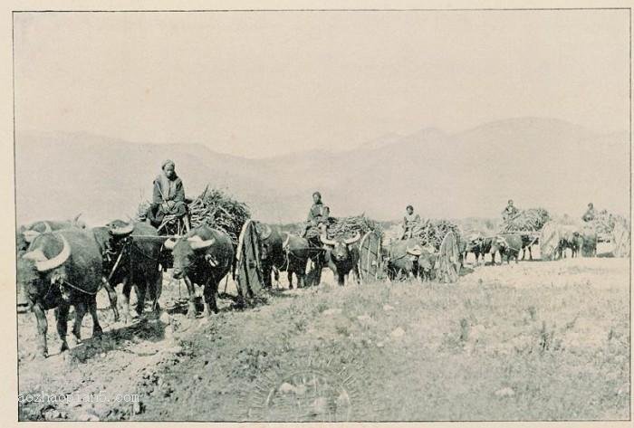 图片[24]-Old photos of Taiwan in the late Qing Dynasty-China Archive