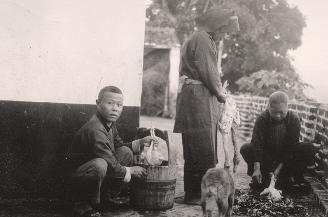 图片[10]-The earliest known true historical image of Shenzhen in 1898-China Archive