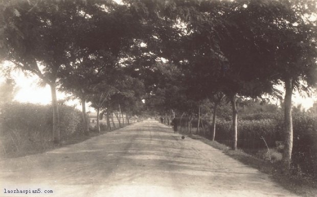 图片[21]-Old Photos of Xingning in Huizhou in the Late Qing Dynasty and the Early Republic of China-China Archive