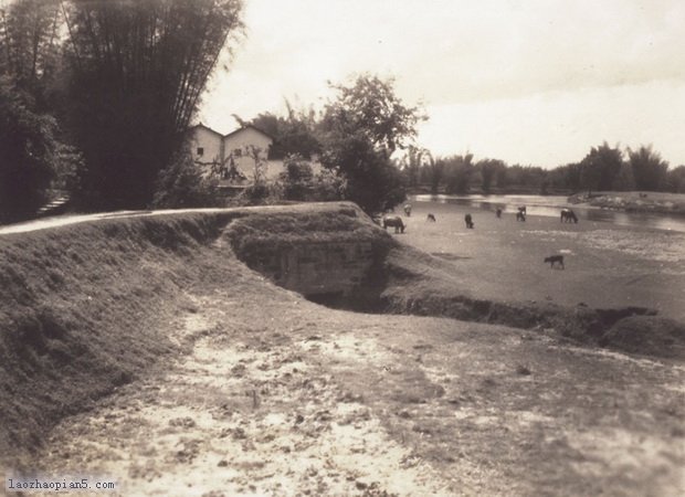 图片[22]-Old Photos of Xingning in Huizhou in the Late Qing Dynasty and the Early Republic of China-China Archive