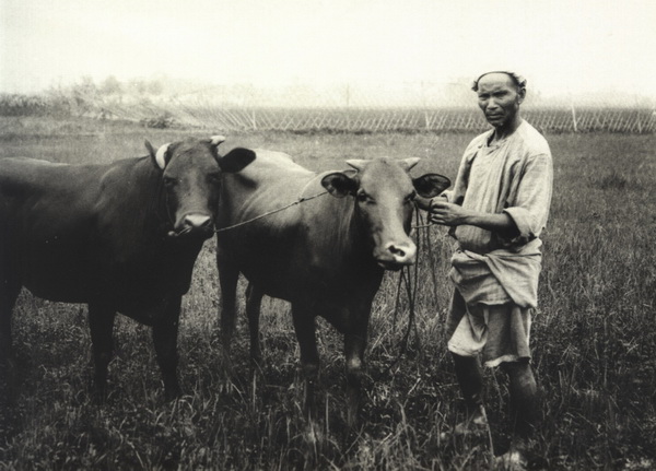 图片[8]-Old photos of Chengdu, Sichuan in 1910-China Archive