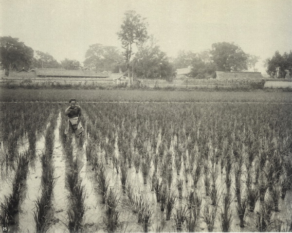 图片[7]-Old photos of Chengdu, Sichuan in 1910-China Archive
