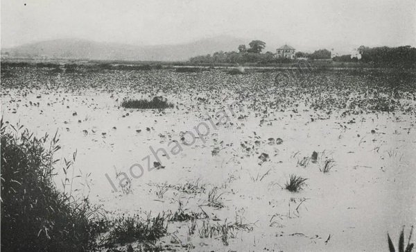 图片[6]-1910 Nanjing Old Photo Drum Tower Chaotian Palace Qinhuai River Xuanwu Lake-China Archive