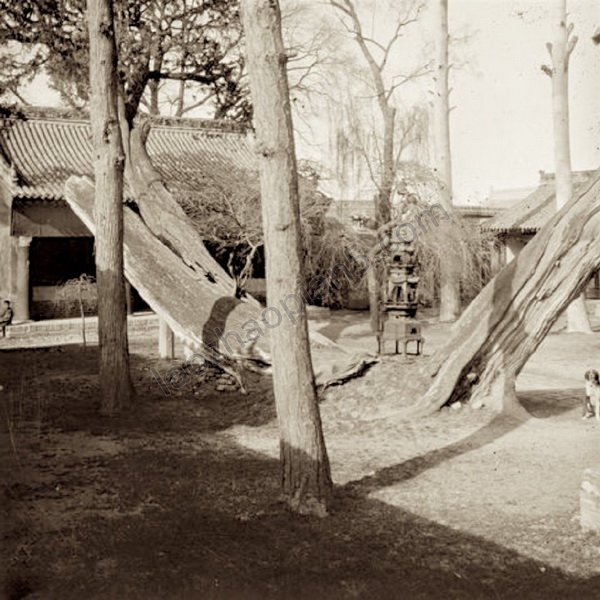 图片[9]-The old photos of Tianshui, Gansu in 1906, the style and features of Qinzhou in the late Qing Dynasty-China Archive