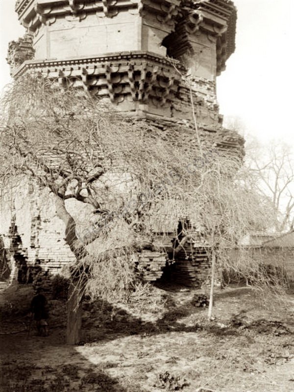 图片[6]-The old photos of Tianshui, Gansu in 1906, the style and features of Qinzhou in the late Qing Dynasty-China Archive