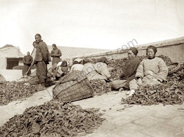 图片[2]-The old photos of Tianshui, Gansu in 1906, the style and features of Qinzhou in the late Qing Dynasty-China Archive