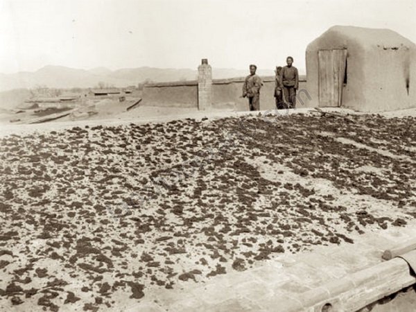 图片[8]-The old photos of Tianshui, Gansu in 1906, the style and features of Qinzhou in the late Qing Dynasty-China Archive