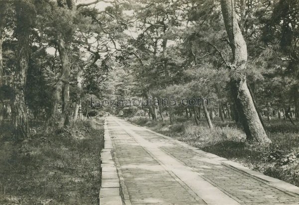 图片[5]-The image of Beiling Tomb, which was completely preserved in the old photos of Shenyang in 1909-China Archive