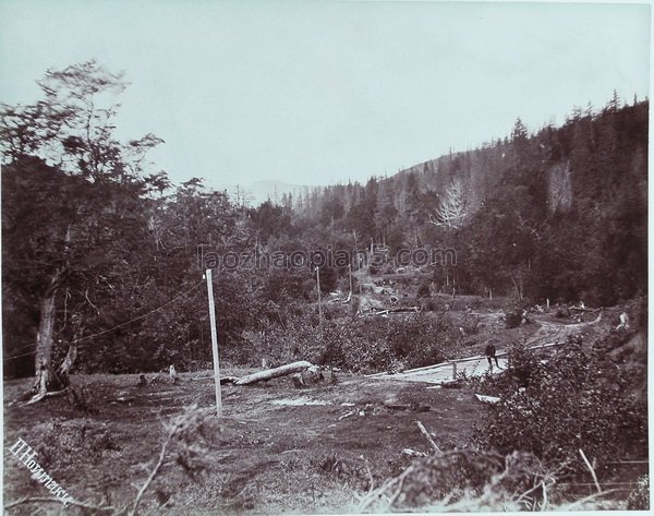 图片[19]-In 1891, the old picture of Sakhalin Island was the place where the Tsarist Russia exiled prisoners-China Archive