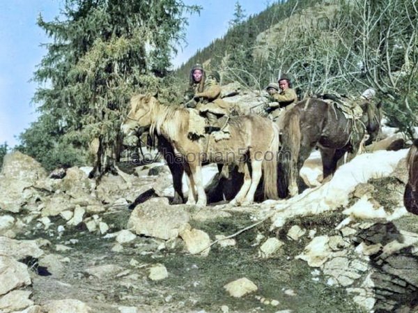 图片[3]-The old photography of Xinjiang from 1906 to 2008: Mannerheim-China Archive