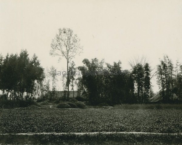 图片[12]-Old urban and rural photos of Chengdu in 1909-China Archive