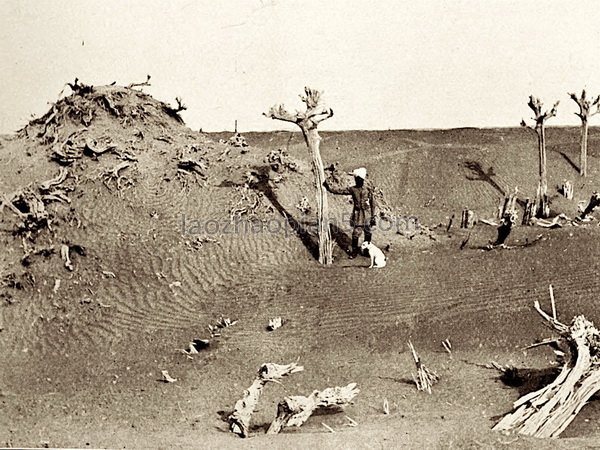 图片[8]-Old photo of Hotan, Xinjiang in 1906, taken by Stein-China Archive