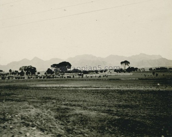 图片[8]-Fengtian, an old photo of Shenyang in 1909, taken by Zhang Bolin (Part 2)-China Archive