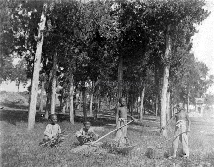 图片[23]-The old photo of Wucheng, Shandong in 1890, the image of Shandong people in the late Qing Dynasty-China Archive