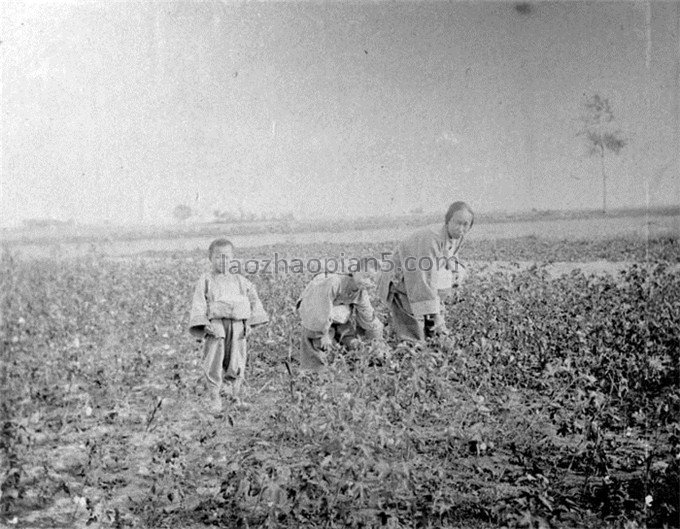 图片[22]-The old photo of Wucheng, Shandong in 1890, the image of Shandong people in the late Qing Dynasty-China Archive