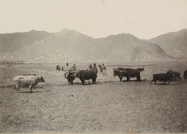 图片[16]-1901 Old Photos of Lhasa, Tibet The Longest Real Image in Tibet (Part 2)-China Archive