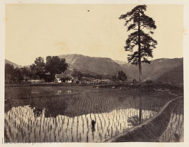 图片[9]-Old Photographs of Ningbo in 1876: The Scenery of Ningbo, a Water Town in the South of the Yangtze River in the Late Qing Dynasty (III)-China Archive