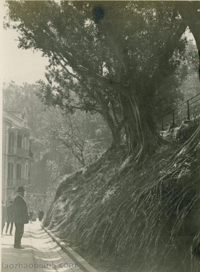 图片[21]-Zhang Bolin’s Chinese Photography Collection in 1909 (4) Hong Kong-China Archive