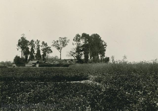 图片[7]-Zhang Bolin’s Chinese Photography Collection in 1909 (20) A Trip to Guanxian County, Pixian County, Sichuan Province-China Archive