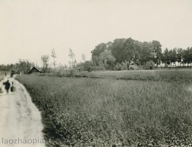 图片[11]-Zhang Bolin’s Chinese Photography Collection in 1909 (20) A Trip to Guanxian County, Pixian County, Sichuan Province-China Archive