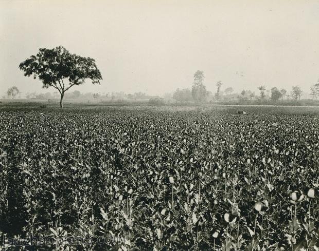 图片[4]-Zhang Bolin’s Chinese Photography Collection in 1909 (24) From Chengdu, Xinjin to Pengshan-China Archive