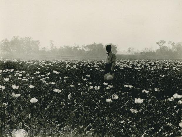 图片[5]-Zhang Bolin’s Chinese Photography Collection in 1909 (24) From Chengdu, Xinjin to Pengshan-China Archive