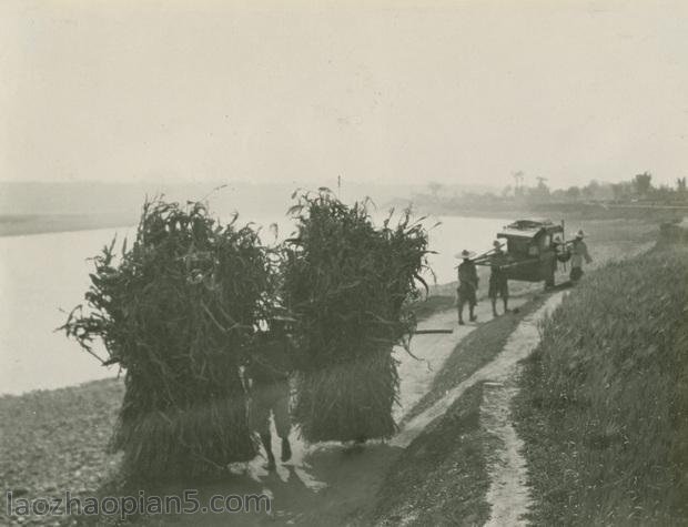 图片[8]-Zhang Bolin’s Chinese Photography Collection in 1909 (24) From Chengdu, Xinjin to Pengshan-China Archive