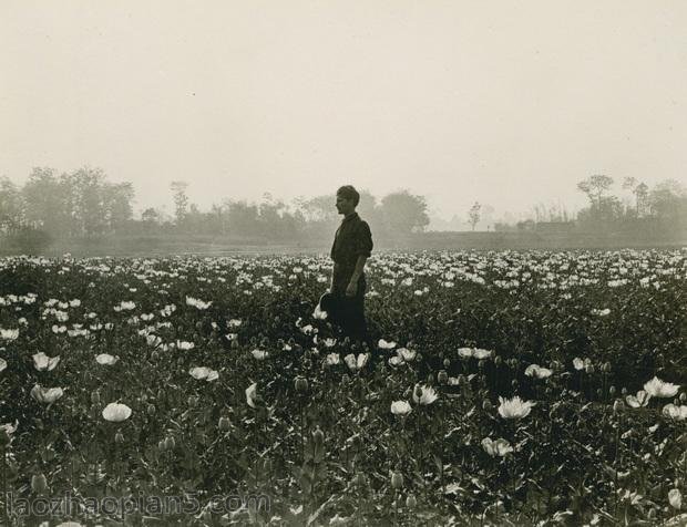 图片[6]-Zhang Bolin’s Chinese Photography Collection in 1909 (24) From Chengdu, Xinjin to Pengshan-China Archive