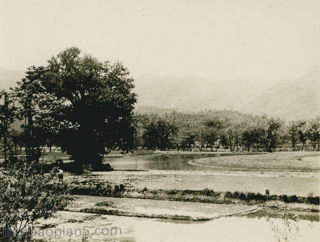 图片[2]-Zhang Bolin’s Chinese Photography Collection in 1909 (32) From Xuchang in Xinyang to Zhengzhou-China Archive