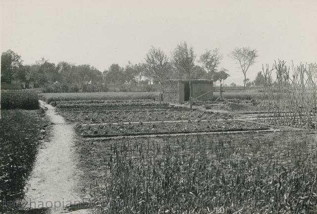 图片[7]-Zhang Bolin’s Collection of Chinese Photographs in 1909 (34) Travel to Weihui Anyang via the Yellow River-China Archive