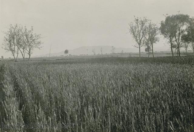 图片[4]-Zhang Bolin’s Collection of Chinese Photography in 1909 (35) Shijiazhuang Tour-China Archive