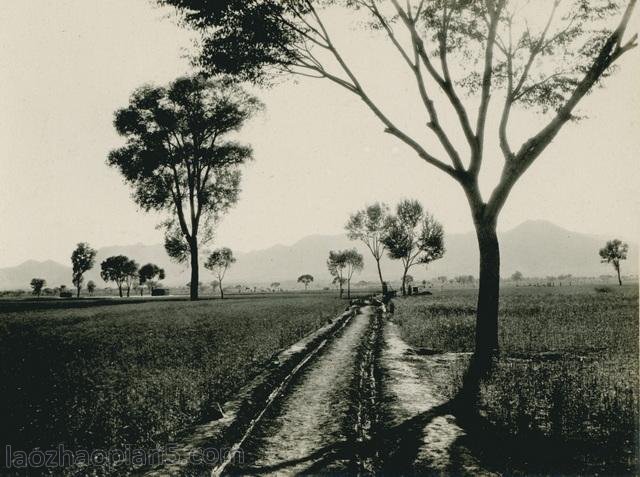 图片[5]-Zhang Bolin’s Collection of Chinese Photography in 1909 (35) Shijiazhuang Tour-China Archive