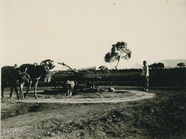 图片[6]-Zhang Bolin’s Collection of Chinese Photography in 1909 (35) Shijiazhuang Tour-China Archive