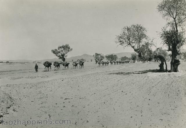 图片[11]-Zhang Bolin’s Collection of Chinese Photographs in 1909 (39) A Journey from Xuanhua to Zhangjiakou-China Archive