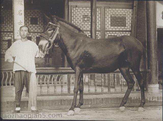 图片[17]-Chinese Images Taken by Mei Yinhua in 1906-1912 (VIII)-China Archive